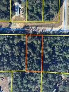 Windflower St, Defuniak Springs, FL, 32433