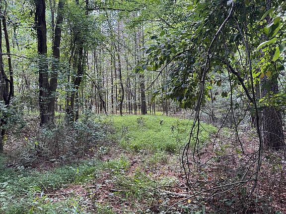 5th image of 7 Kraft Rd