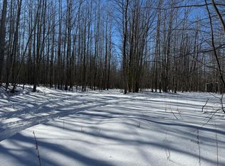 V/l 1992a King Rd, Black River, MI 48721