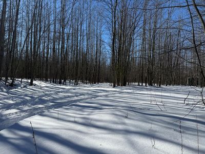 V/l 1992a King Rd, Black River, MI, 48721