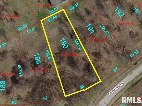 190 Tanglewood Ct, Dahinda, IL 61428