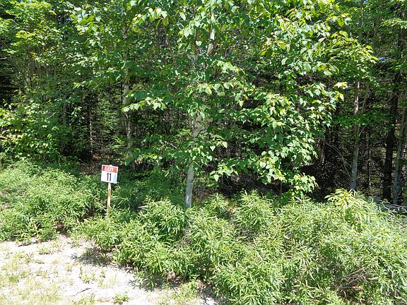 2nd image of Lot 11 Bailey Mountain Road
