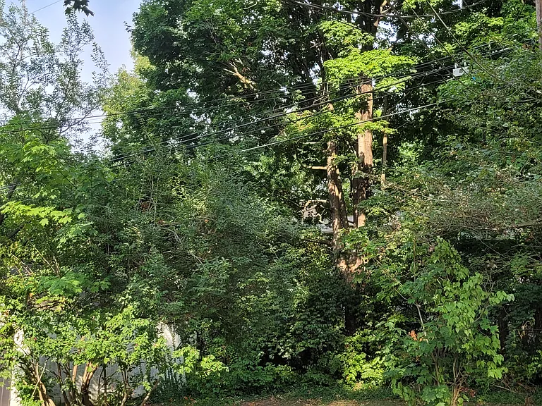 Taylor Dr — Photo 23