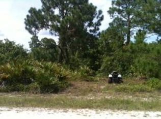 1017 Kaye St E, Lehigh Acres, FL 33974