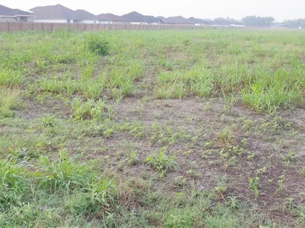 866 E Sioux Rd #3, San Juan, TX 78589