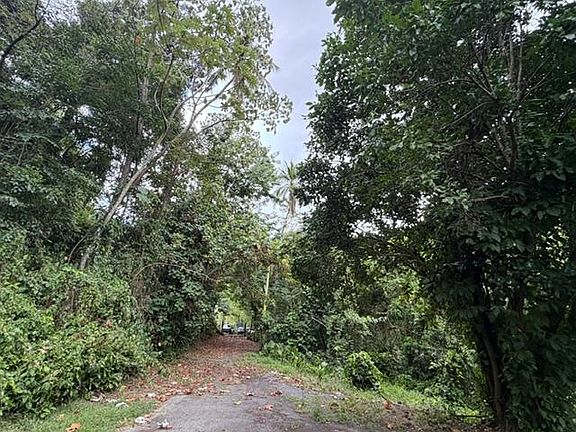 2nd image of 810 Finca Barrio Achiote En Naranjito #810