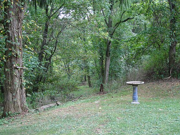 4th image of 256 Briarwood Dr