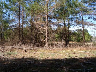 28 N Brown Rd, Littleton, NC, 27850