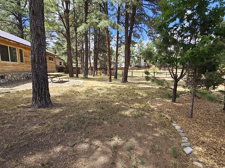 47 Palm Ct — Photo 35