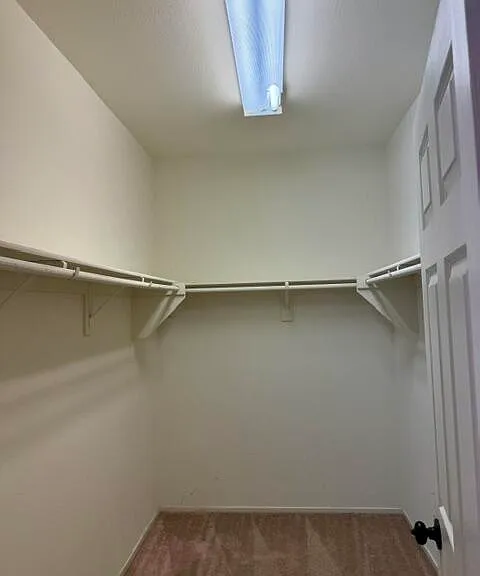 81145 Paludosa Dr — Photo 18