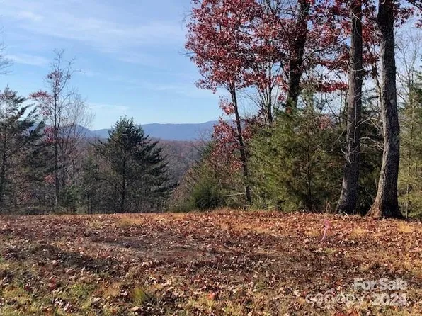 30 Mountain Pkwy, Mill Spring, NC 28756