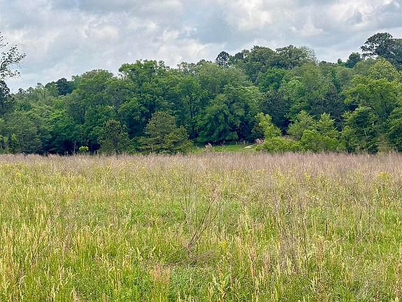 3rd image of 24034 County Road 244