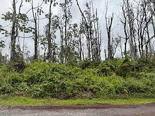 1st image of 16-2138 Kuhio Dr Lot 68