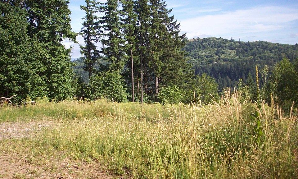 2nd image of 5653 Lewis River Rd