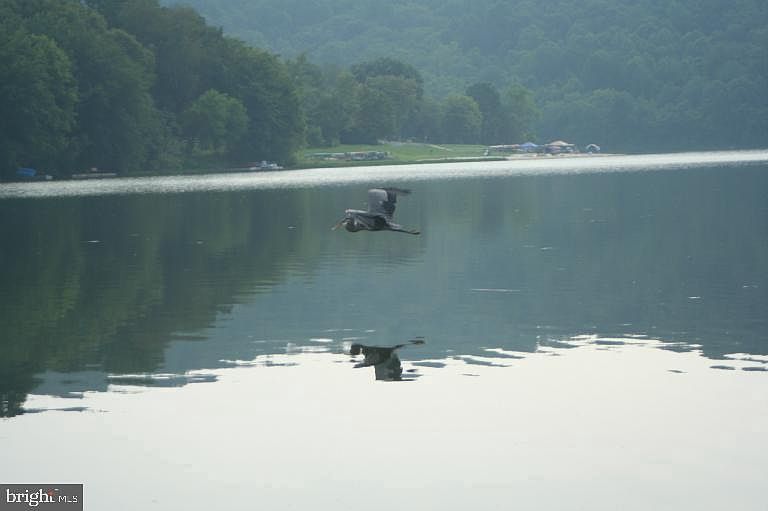 2nd image of 6784 Hemlock Point Rd