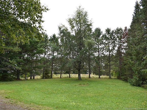 5th image of 491 Rosedale Rd