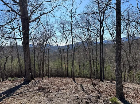 LOT 54 Asheland Cove Dr, Young Harris, GA 30582