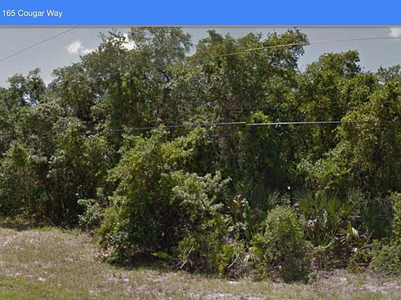 5th image of 165 Cougar Way