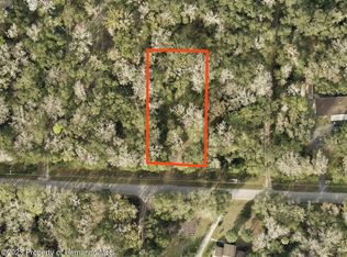 16475 Budowski Rd, Brooksville, FL 34614
