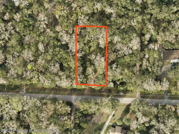 16475 Budowski Rd, Brooksville, FL 34614