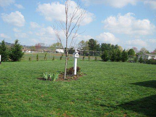 5th image of 759 Boone Dr