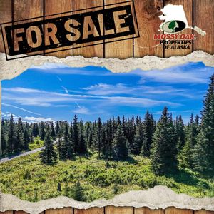 15737 Cecelia St, Ninilchik, AK, 99639