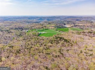 7315 Skyline Dr, Jasper, GA 30143