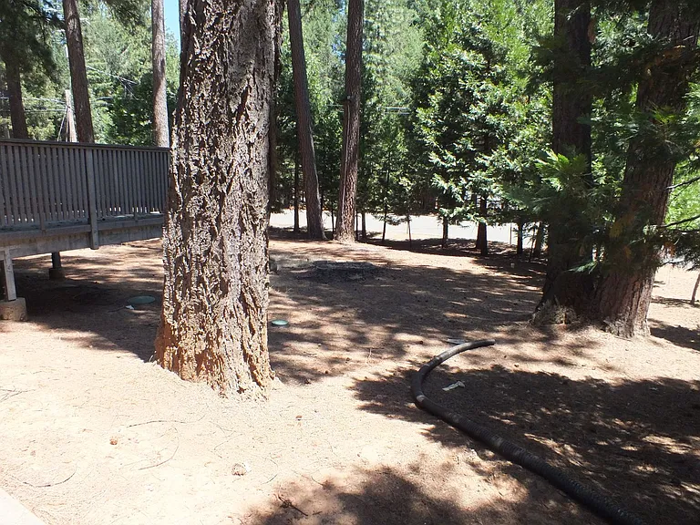5680 Azalea Cir — Photo 15