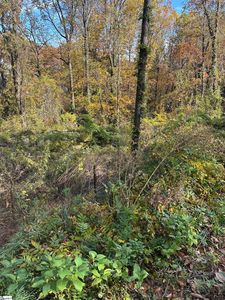 0 Altamont Rd, Greenville, SC, 29609