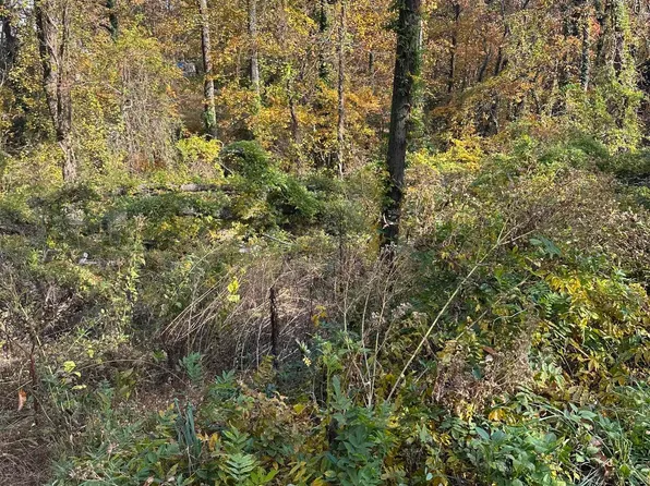 0 Altamont Rd, Greenville, SC 29609