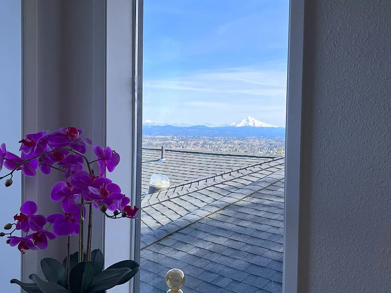 Mountain view from nearly every window in the home (Pictures does not do justice)