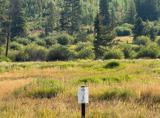 262 Beavers Lodge Road, Winter Park, CO 80482