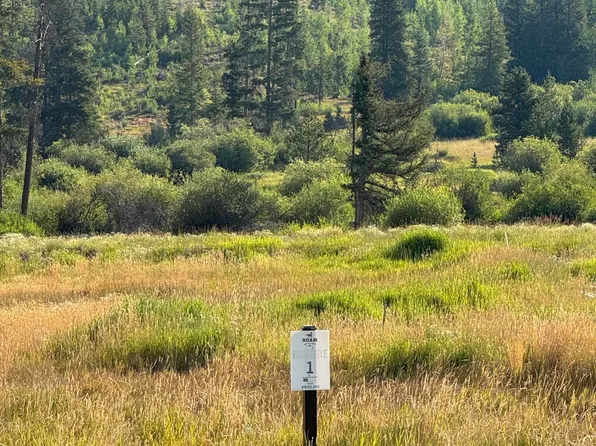 262 Beavers Lodge Road, Winter Park, CO 80482