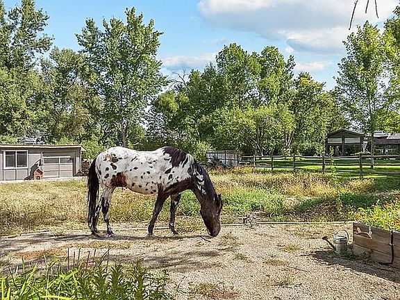 2nd image of 819 Gapter Rd