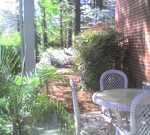 side porch w/ ceiling fan
