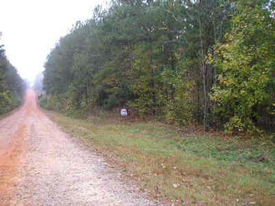 County Road 609, Wedowee, AL, 36278
