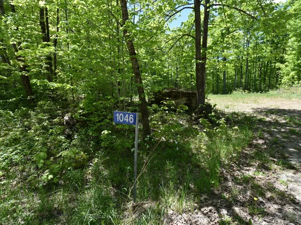 1046 S Bush Rd, Central Frontenac, ON K0H 1T0