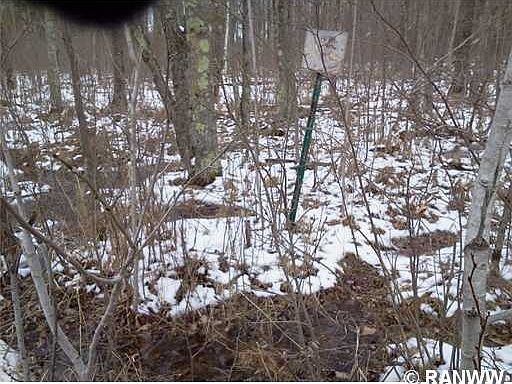 5th image of 0 Taylor. (Lot 4) Road