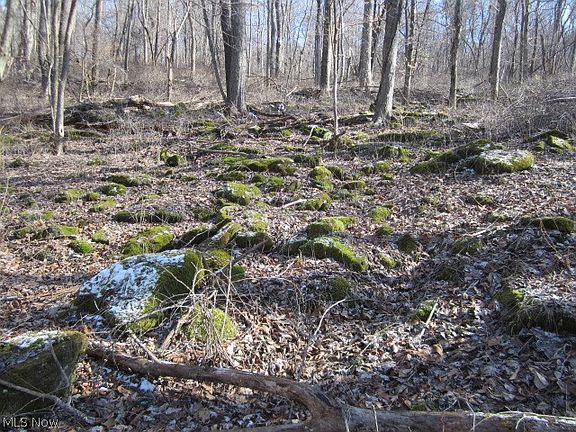 3rd image of 346 Township Rd