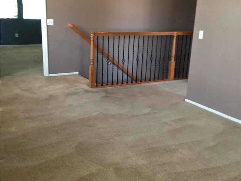 1908 Taormina Ct — Photo 10