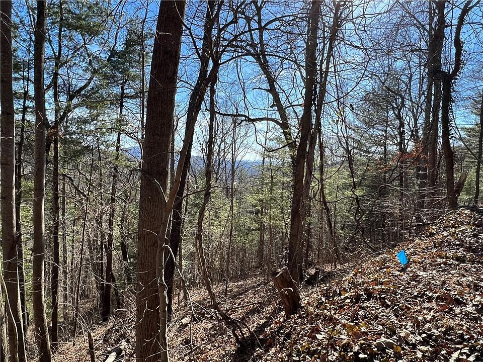 1 Vance Gap Rd, Asheville, NC 28805 Zillow