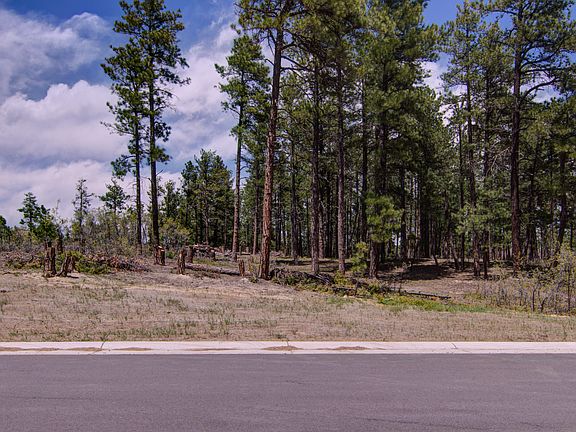 4th image of 1355 Fremont Dr