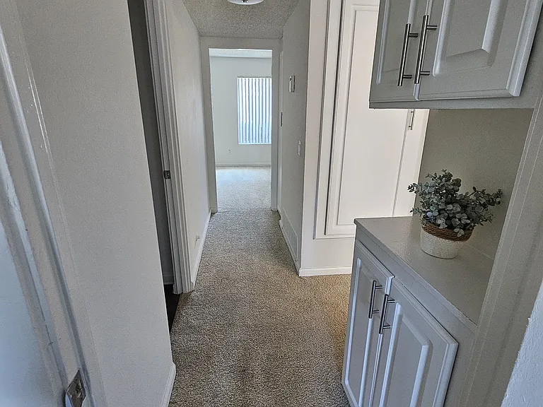 2BR, 1BA-894SF