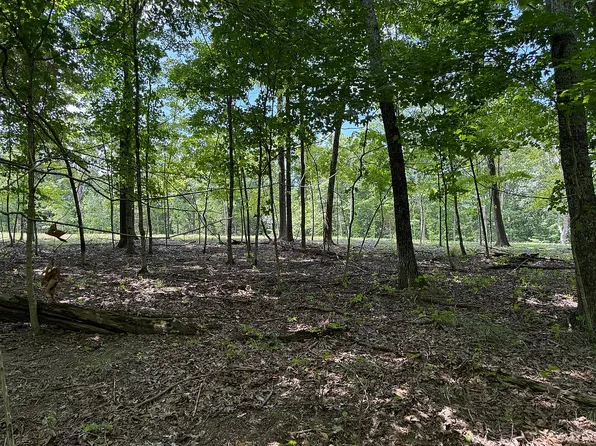 1945 Tanglefoot Farms Rd, Festus, MO 63028