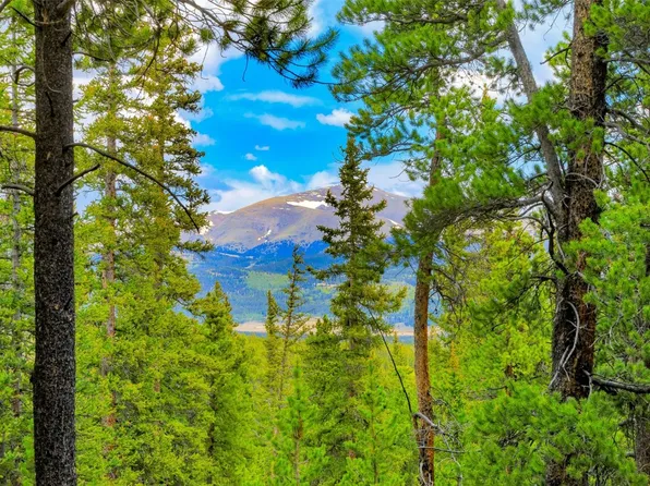 Dry Gulch Rd, Fairplay, CO 80440