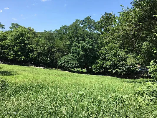 Rented by Corcoran | media 26