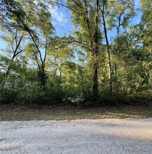 3494 E Bellshire Pl, Inverness, FL, 34453