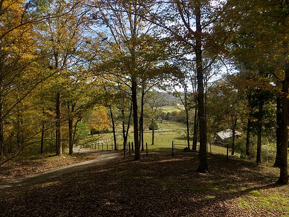 View from front porch