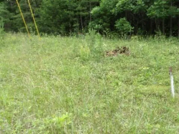 LOT 48 Parkstown Ext, Wilder, TN 38589