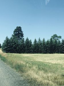 11200 E Stoughton, Valleyford, WA, 99036